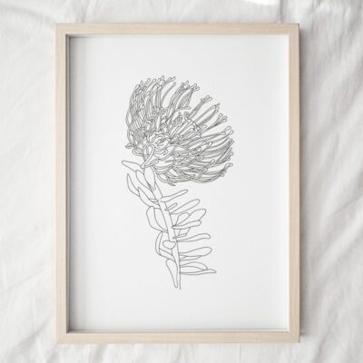 Protea Line 4 Art Print