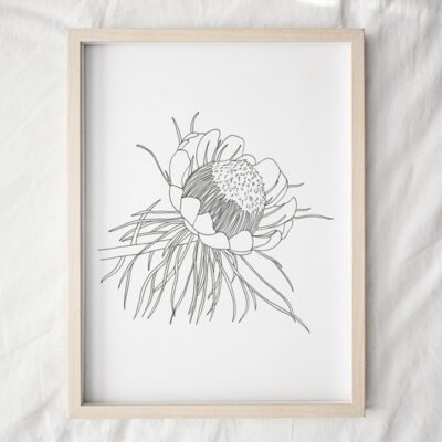 Protea Line 3 Art Print