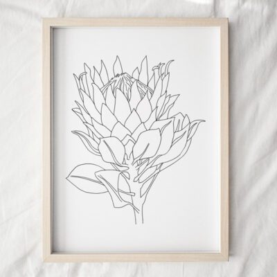 Protea Line 2 Art Print