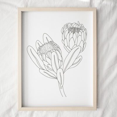 Protea Line 1 Art Print
